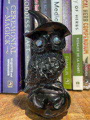 A sculpture of a black obsidian owl with a witches' hat perched on a pumpkin, displayed against a backdrop of books.