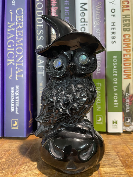 A sculpture of a black obsidian owl with a witches' hat perched on a pumpkin, displayed against a backdrop of books.