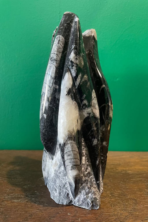 Orthoceras Fossil Tower