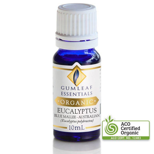 Organic Eucalyptus Blue Mallee Essential Oil 10ml - Dusty Rose Essentials
