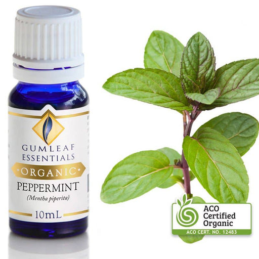 Organic Peppermint Essential Oil 10ml - Dusty Rose Essentials