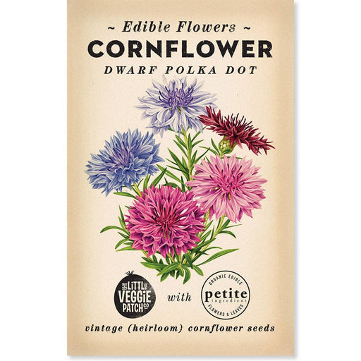 Cornflower "Polka Dot" Heirloom seeds - Dusty Rose Essentials