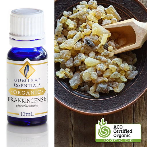 Organic Frankincense Essential Oil 10 ml - Dusty Rose Essentials