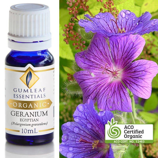 Organic Geranium Egyptian Essential Oil 10 ml - Dusty Rose Essentials