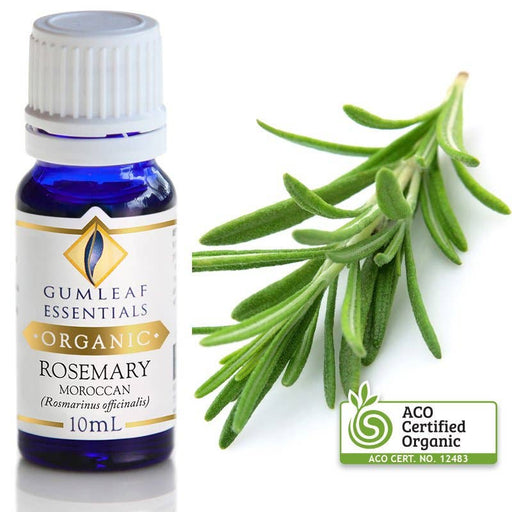 Organic Rosemary Moroccan Essential Oil 10 ml - Dusty Rose Essentials