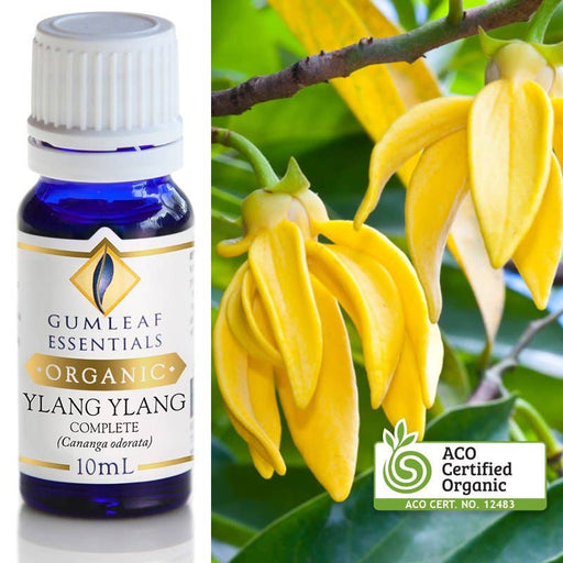 Organic Ylang Ylang Complete Essential Oil 10 ml - Dusty Rose Essentials