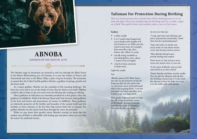 2026 Lunar & Seasonal Diary - Southern Hemisphere - Dusty Rose Essentials