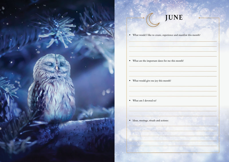 2026 Lunar & Seasonal Diary - Southern Hemisphere - Dusty Rose Essentials