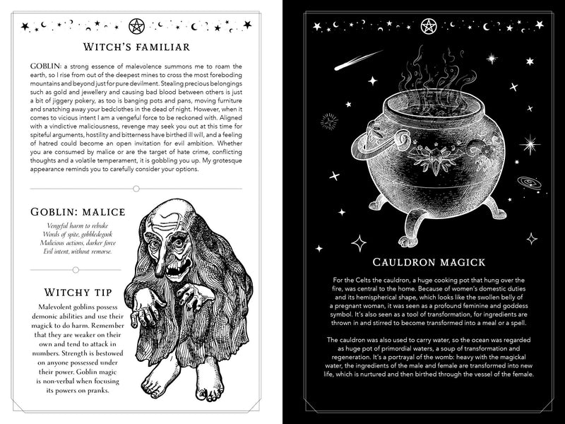 2026 Witch's Diary - Southern Hemisphere - Dusty Rose Essentials