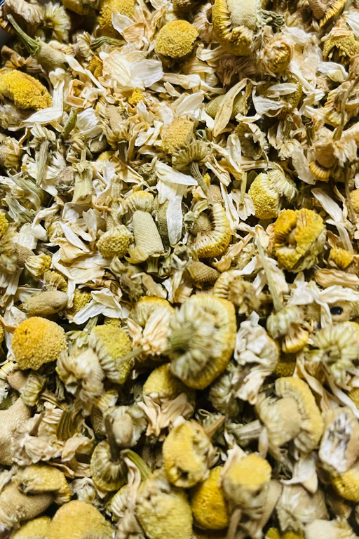 close up of chamomile flowers