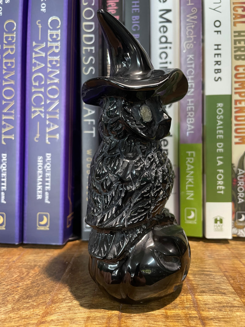 Black Obsidian & Labradorite~ Owl with Witches Hat on Pumpkin