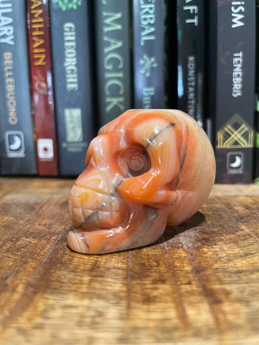 Banded Carnelian Skull