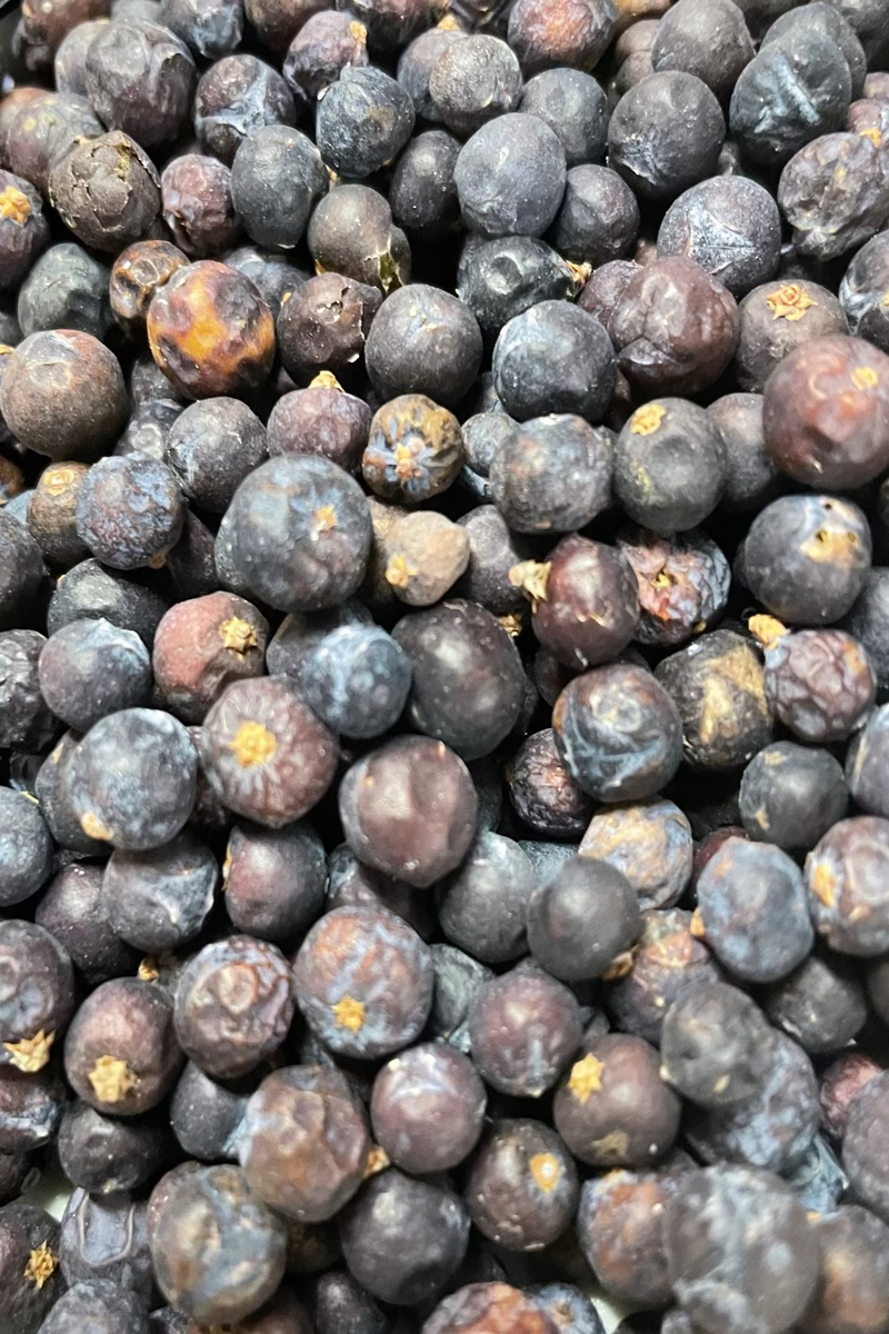 close up of Juniper Berries