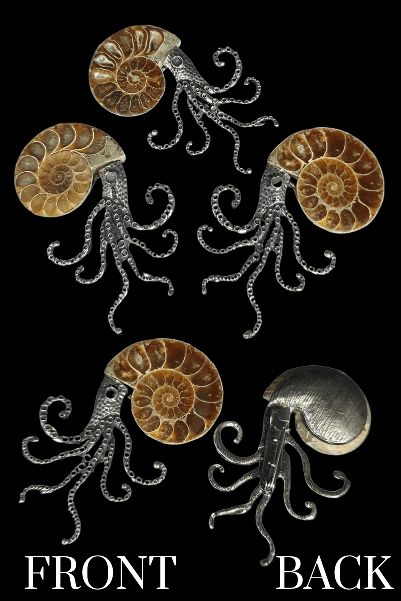 Ammonite Brooch - Dusty Rose Essentials