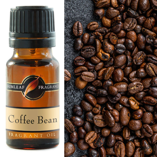 Coffee Bean Fragrance Oil 10ml - Dusty Rose Essentials