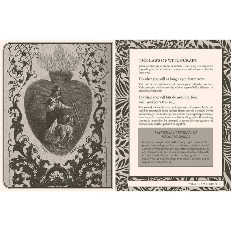 Coven Where Witches Gather PRE - ORDER - Dusty Rose Essentials
