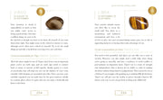 Crystal Companions: An A - Z Guide - Dusty Rose Essentials