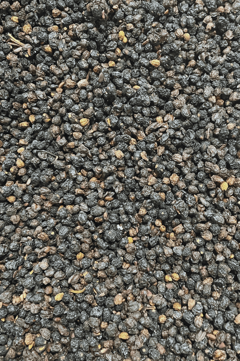 Elderberries 100 Grams - Dusty Rose Essentials
