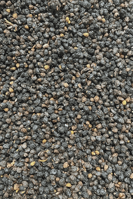 Elderberries 100 Grams - Dusty Rose Essentials