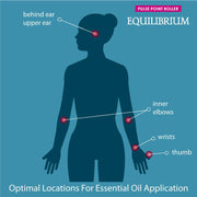 Equilibrium Essential Oil Pulse Point Roller 9 ml - Dusty Rose Essentials