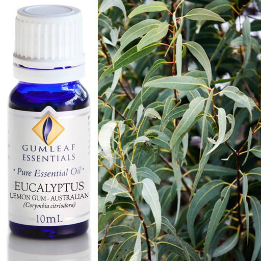 Eucalyptus Lemon Gum Essential Oil 10ml - Dusty Rose Essentials