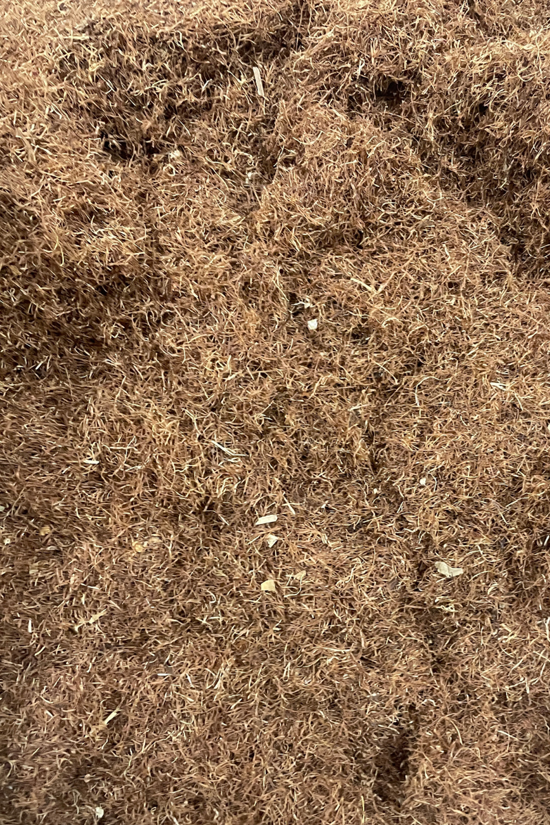 Cornsilk - Cut - 10 OR 25 Grams