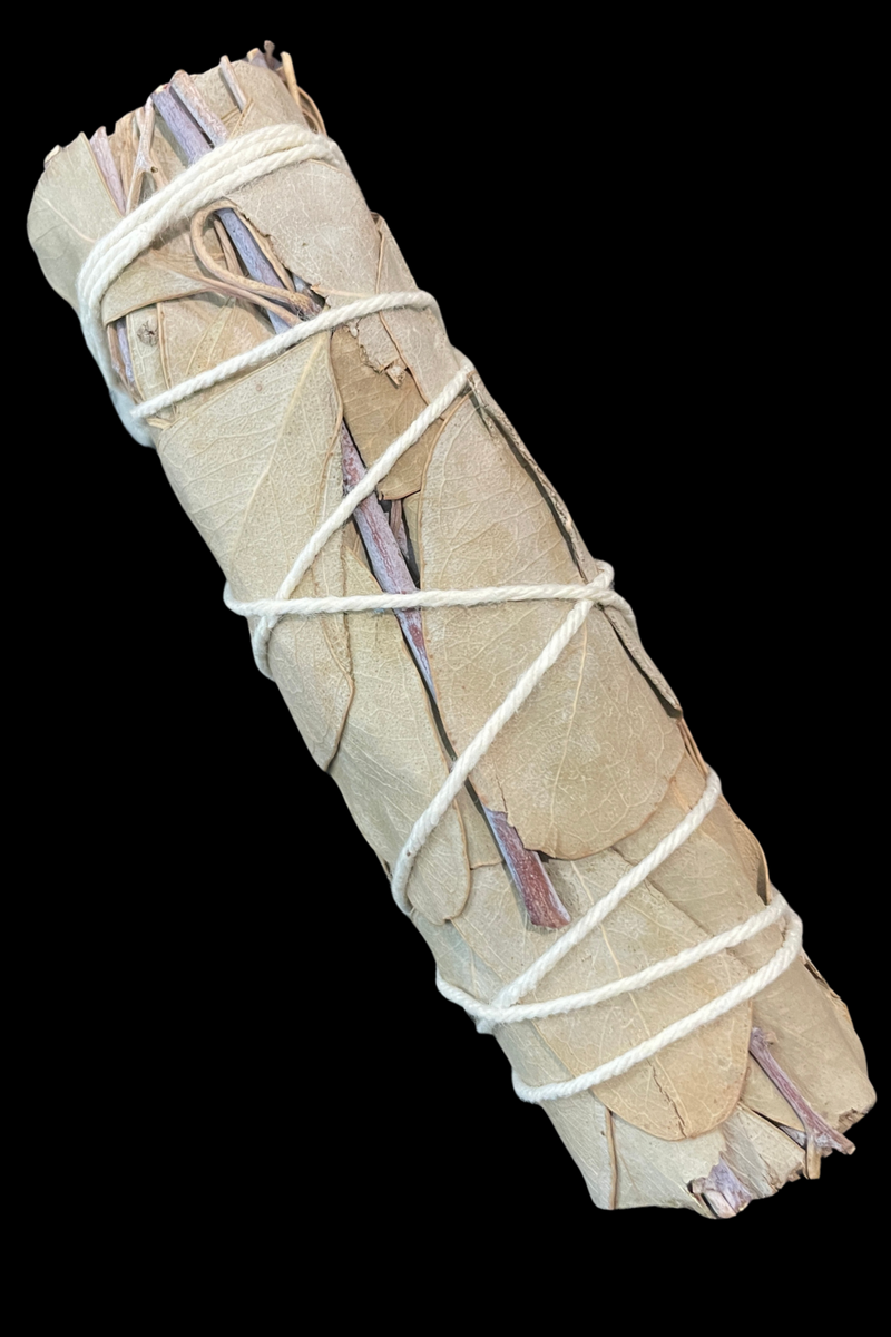 Eucalyptus Herb Bundle