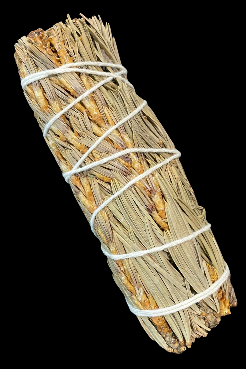 Pine Herb Bundle