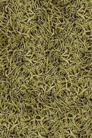 A close-up texture shot of dried green rosemary leaves filling the entire frame.