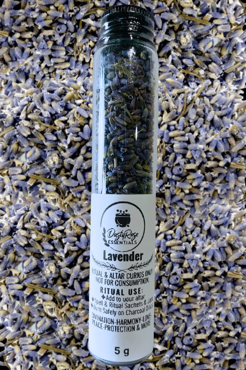 Lavender Flower in Glass Jar