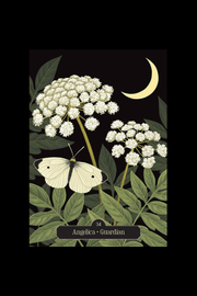 Kate Forsyth's Hedgewitch Oracle Cards - Dusty Rose Essentials