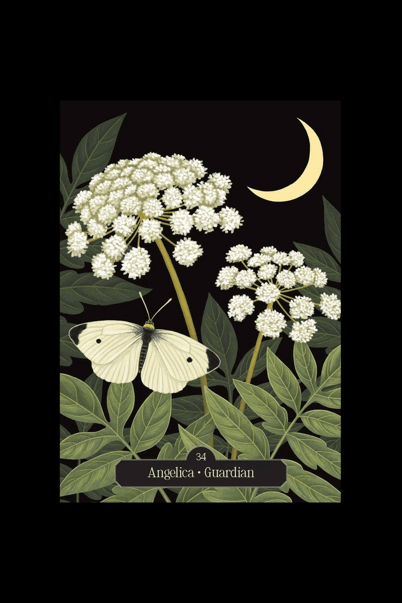 Kate Forsyth's Hedgewitch Oracle Cards - Dusty Rose Essentials