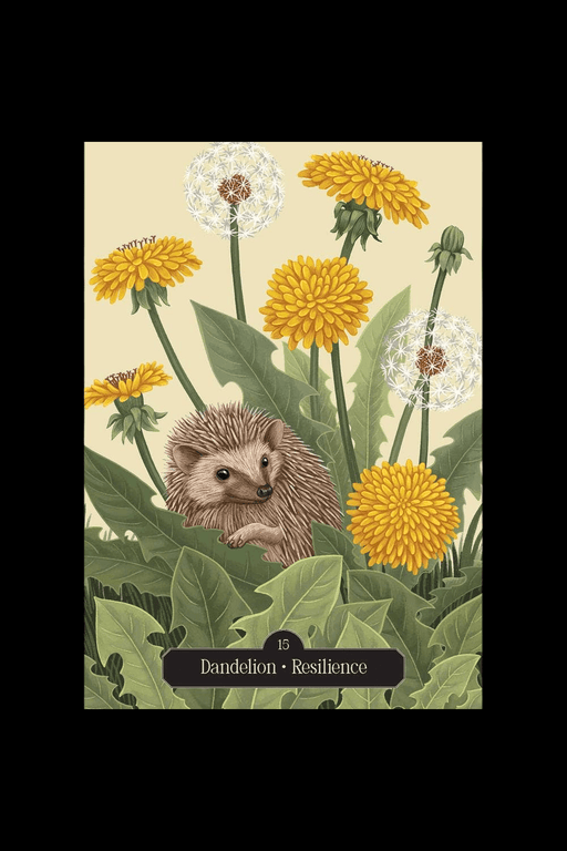 Kate Forsyth's Hedgewitch Oracle Cards - Dusty Rose Essentials