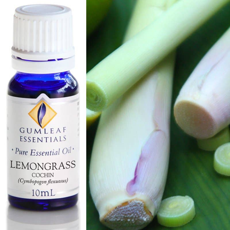 Lemongrass Cochin Essential Oil 10ml - Dusty Rose Essentials