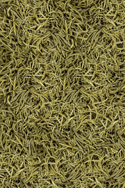 Bulk loose leaf dried rosemary 