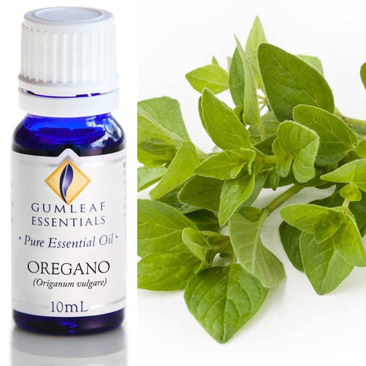 Oregano Essential Oil 10ml - Dusty Rose Essentials