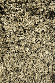 Patchouli Leaf 5 OR 20 Grams - Dusty Rose Essentials
