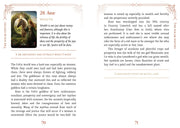 Queen Of The Sun Oracle - Dusty Rose Essentials