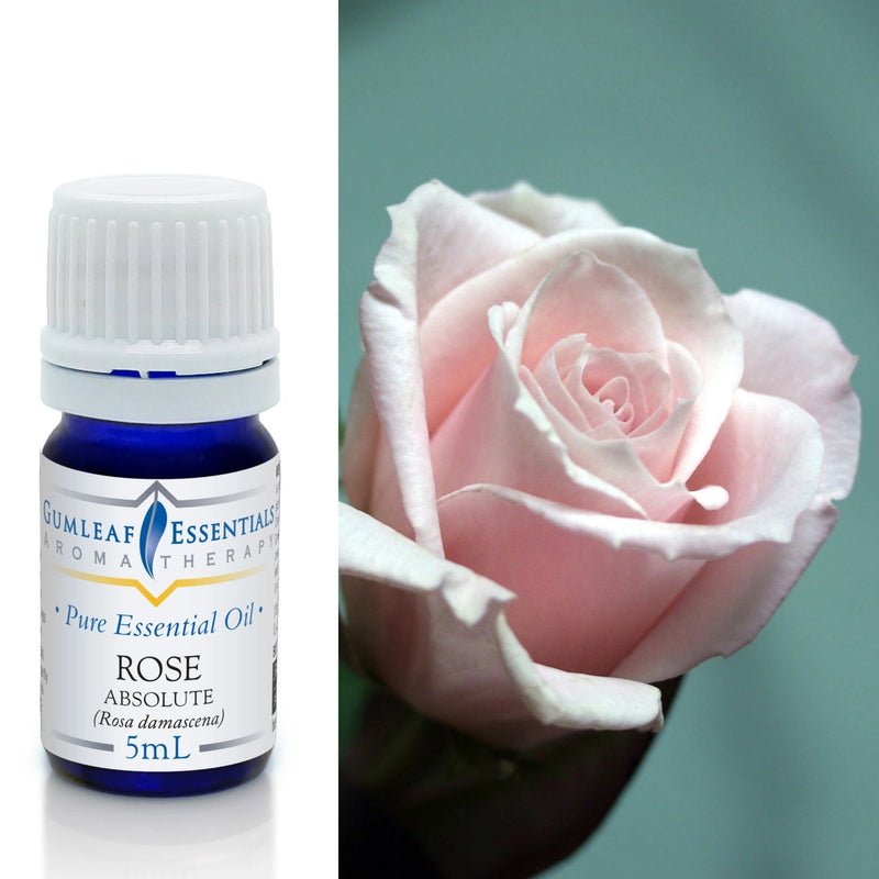 Rose Absolute Essential Oil 5ml PRE - ORDER - Dusty Rose Essentials