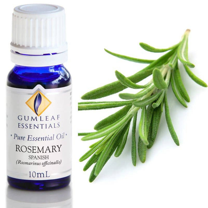 Rosemary Spanish Essential Oil 10ml - Dusty Rose Essentials