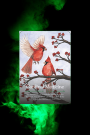 Seasons Of The Witch Yule Oracle - Dusty Rose Essentials