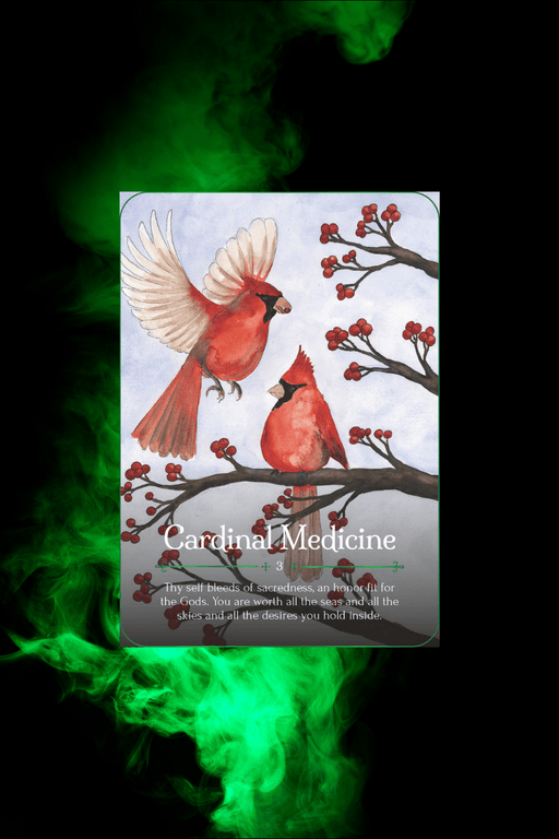 Seasons Of The Witch Yule Oracle - Dusty Rose Essentials