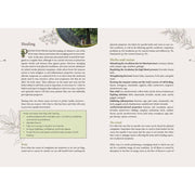 The Complete Smudging Handbook - Dusty Rose Essentials