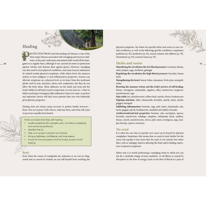 The Complete Smudging Handbook - Dusty Rose Essentials
