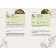 The Complete Smudging Handbook - Dusty Rose Essentials