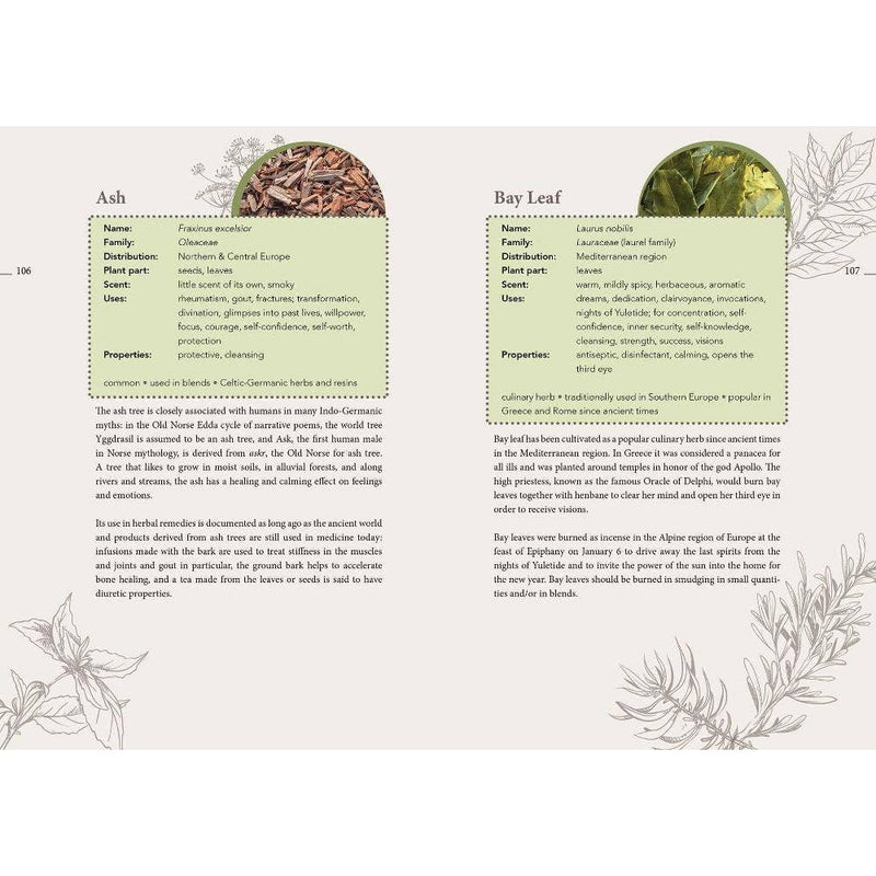 The Complete Smudging Handbook - Dusty Rose Essentials