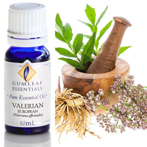 Valerian European Essential Oil 10ml - Dusty Rose Essentials