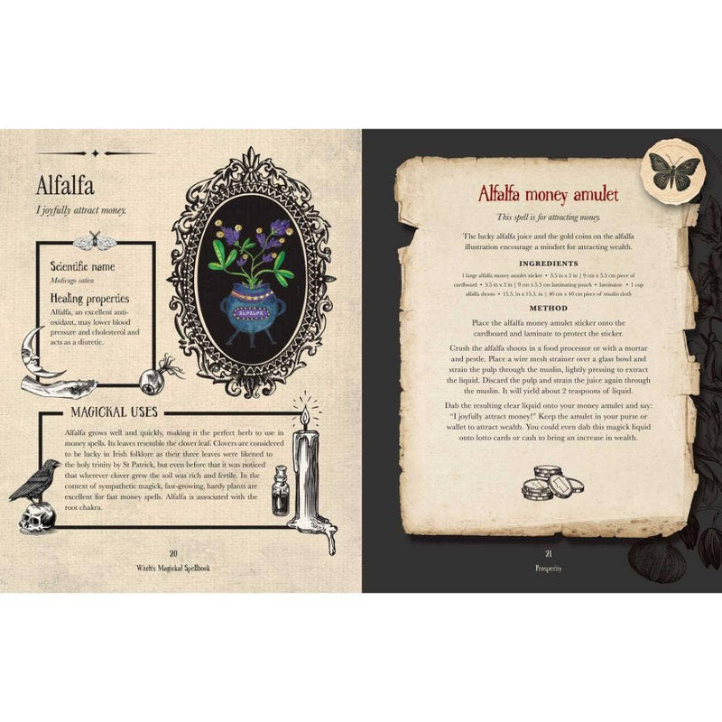 Witch's Magickal Spellbook - Dusty Rose Essentials