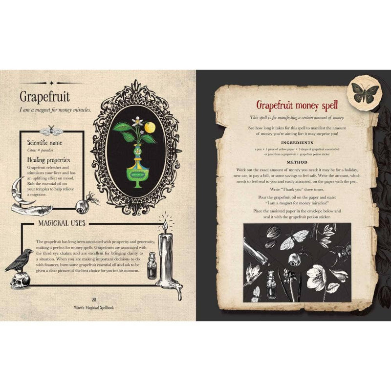 Witch's Magickal Spellbook - Dusty Rose Essentials