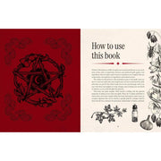 Witch's Magickal Spellbook - Dusty Rose Essentials